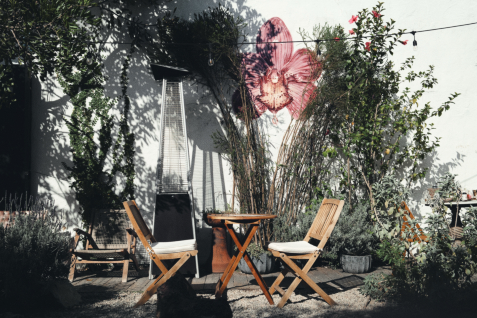 A sunlit courtyard with wooden chairs and a painted orchid on the wall